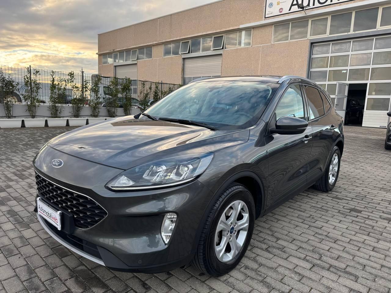 Ford Kuga 1.5 EcoBlue 120 CV aut. 2WD ST-Line X