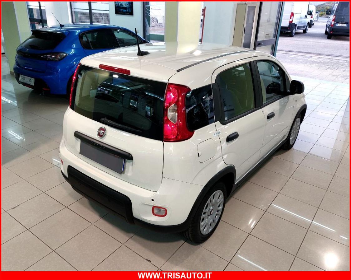 FIAT Panda 1.0 FireFly S&S Hybrid MY24 KM ZERO!!! IVATA NEOPATENTATI