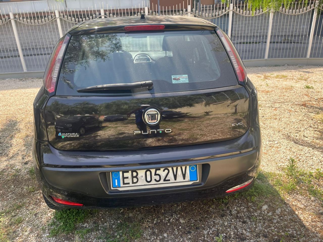 Fiat Punto Evo Punto Evo 1.4 5 porte Active