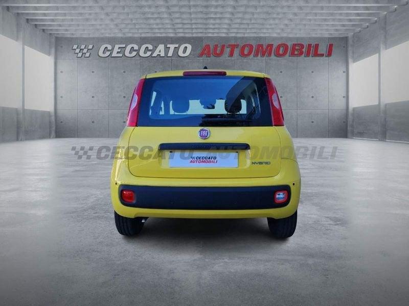 FIAT Panda Panda 1.0 firefly hybrid s&s 70cv