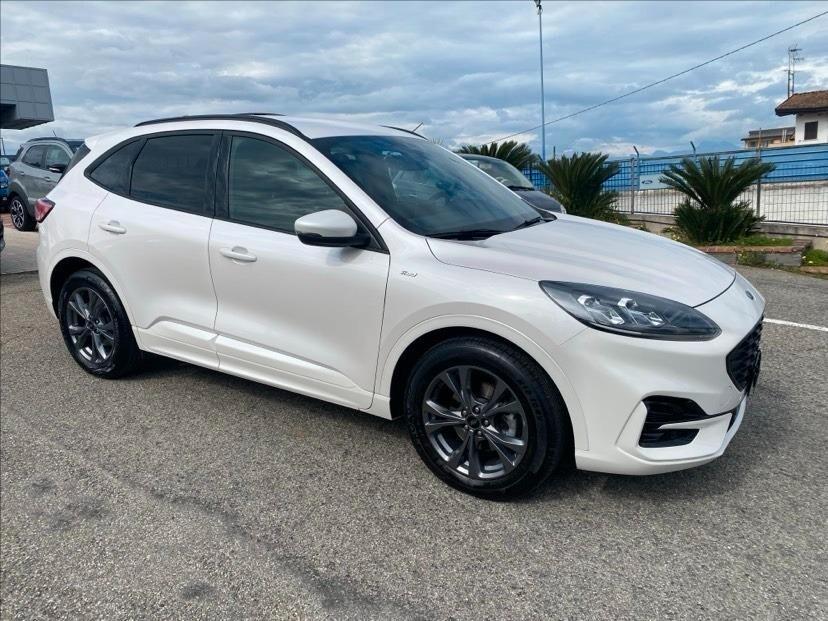Ford Kuga 1.5 EcoBlue 120 CV aut. 2WD ST-Line X
