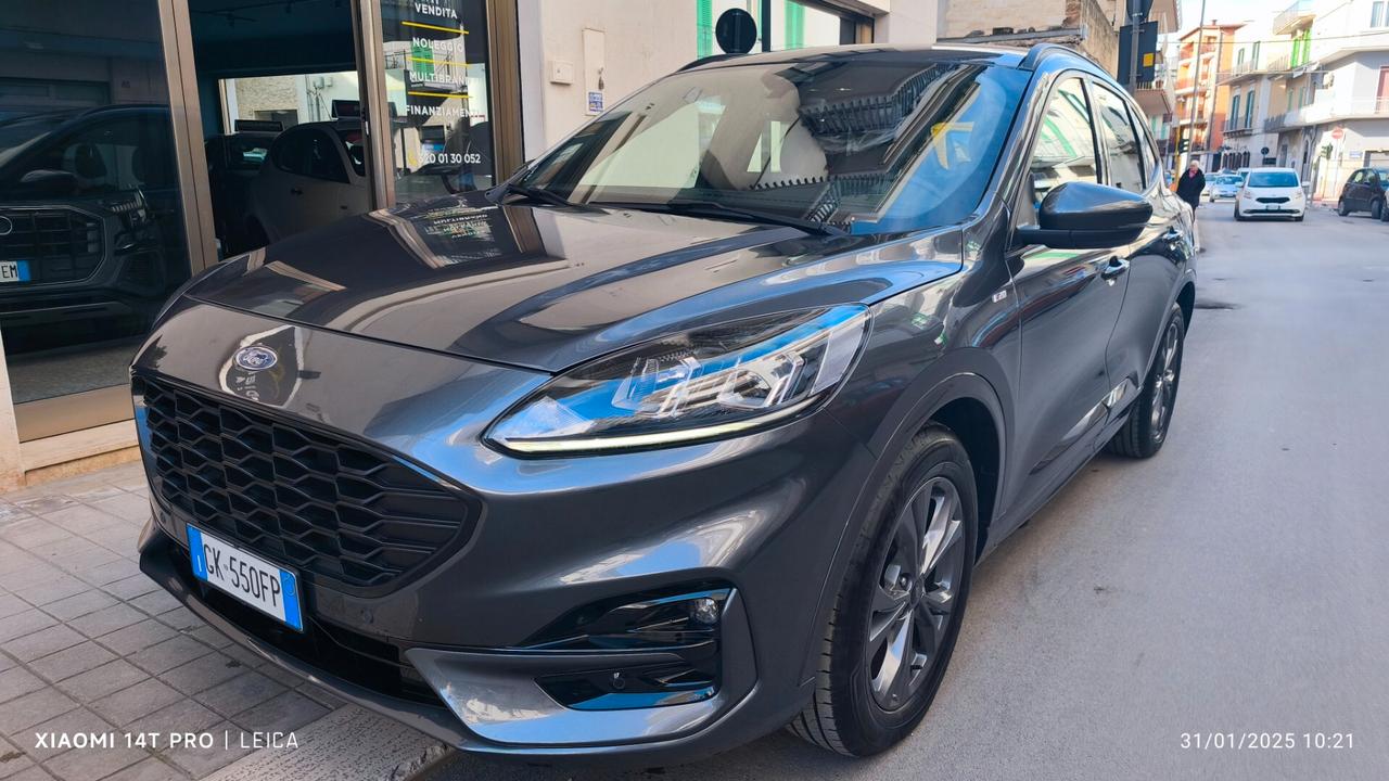 Ford Kuga 1.5 EcoBlue 120 CV aut. 2WD ST-Line 2022