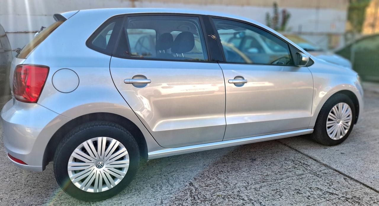VOLKSWAGEN POLO 1.4 TDI 75CV 47000km