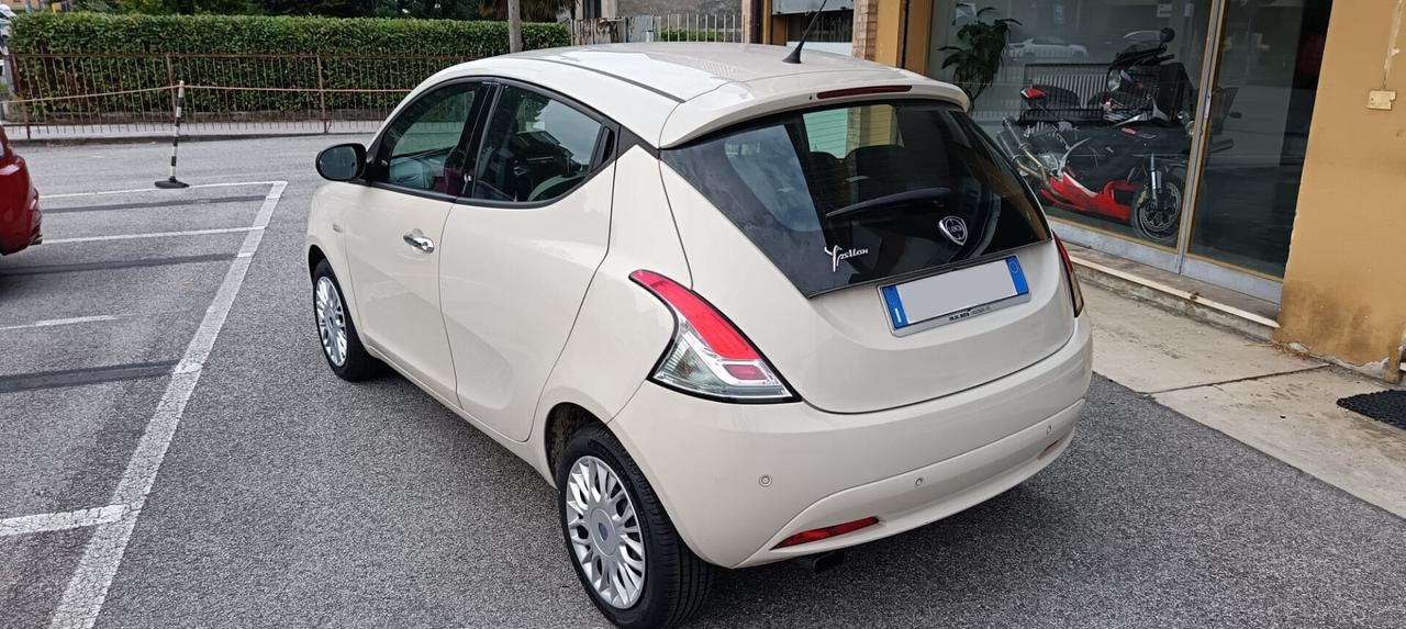 LANCIA Ypsilon 1.2 69 CV 5 porte Platinum - 2016