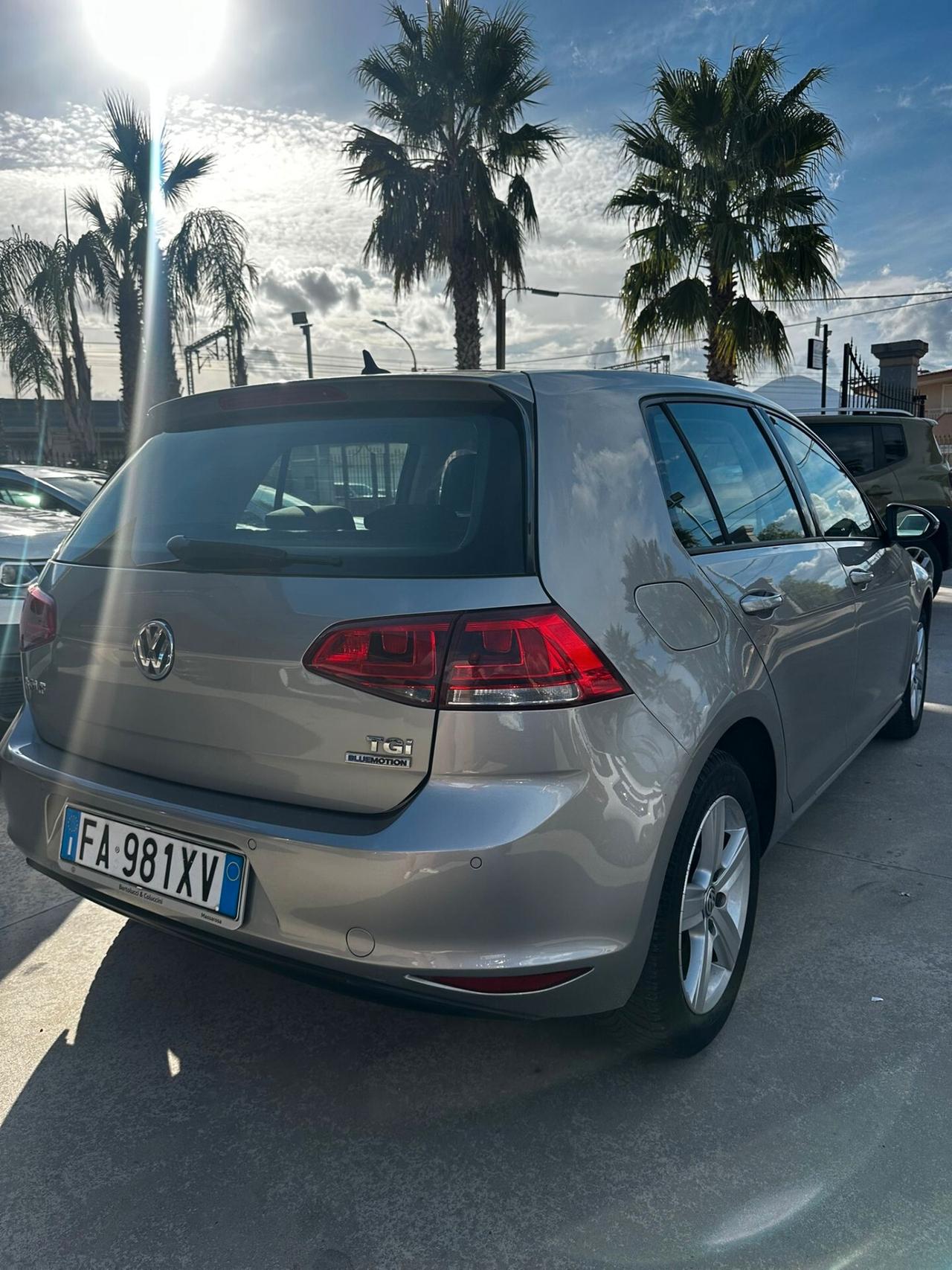Volkswagen Golf 1.4 TGI 5p. Executive 4 Free BlueMotion