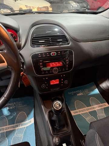 Fiat Punto Benzina Km 44.000 Neopatentati