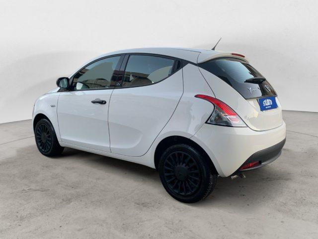 LANCIA Ypsilon 1.2 69 CV 5 porte Elefantino Blu