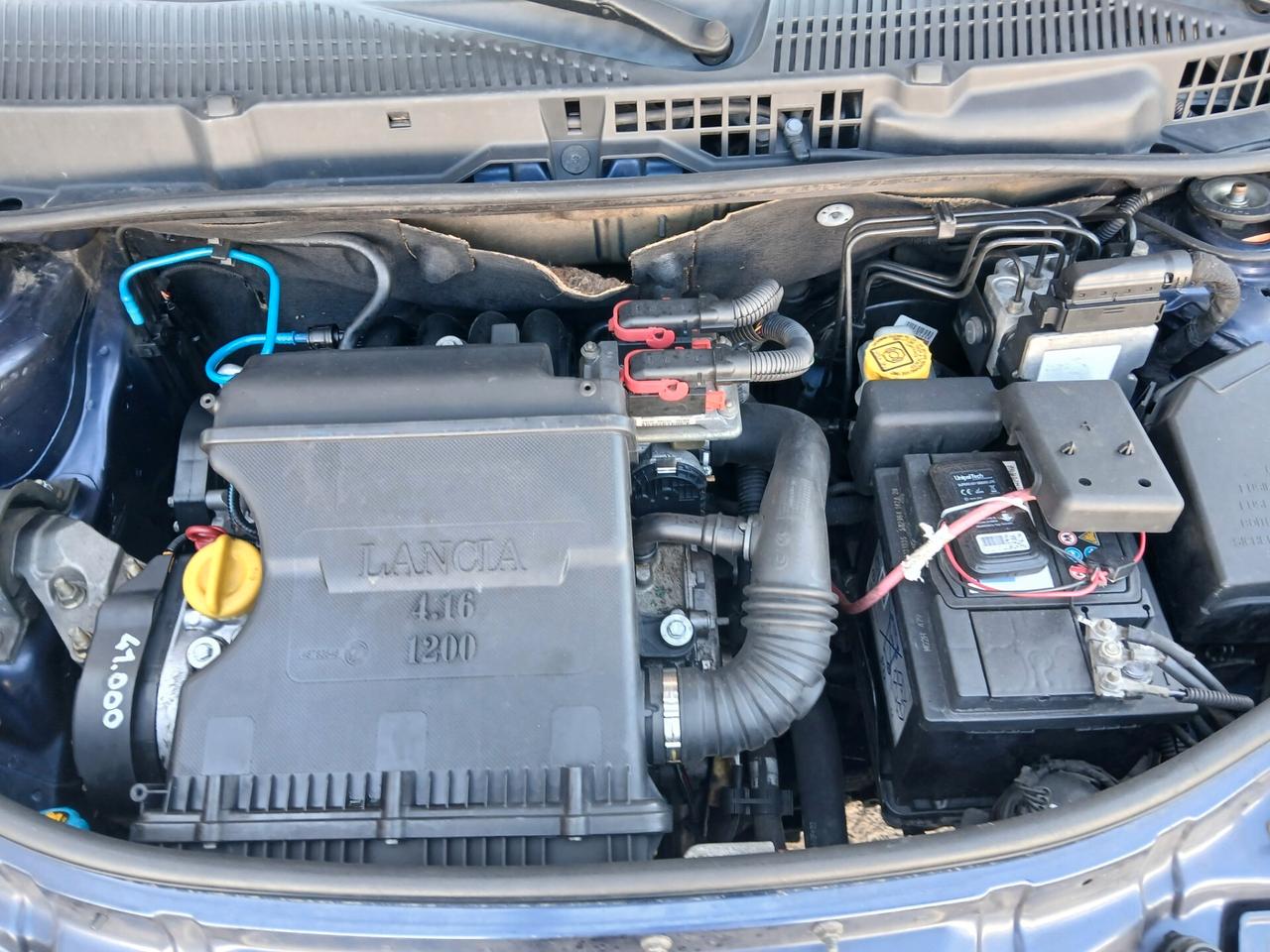 Lancia Ypsilon 1.2 16V Per Neopatentati