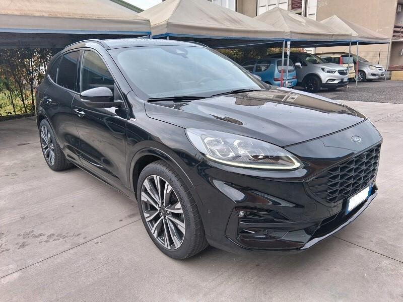 Ford Kuga 1.5 EcoBlue 120 CV 2WD ST-Line X (688)