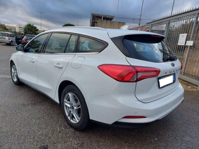 FORD Focus 1.5 EcoBlue 120 CV SW Business N1