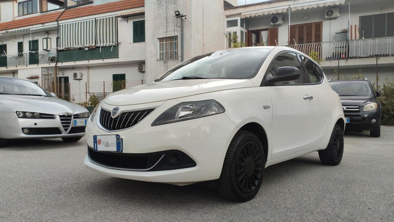 Lancia Ypsilon 1.2 69 CV 5 porte GPL Alberta Ferretti