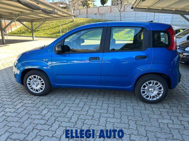 FIAT Panda PROMO FINANZ 1.0 HYBRID +PACK ICON KM 0