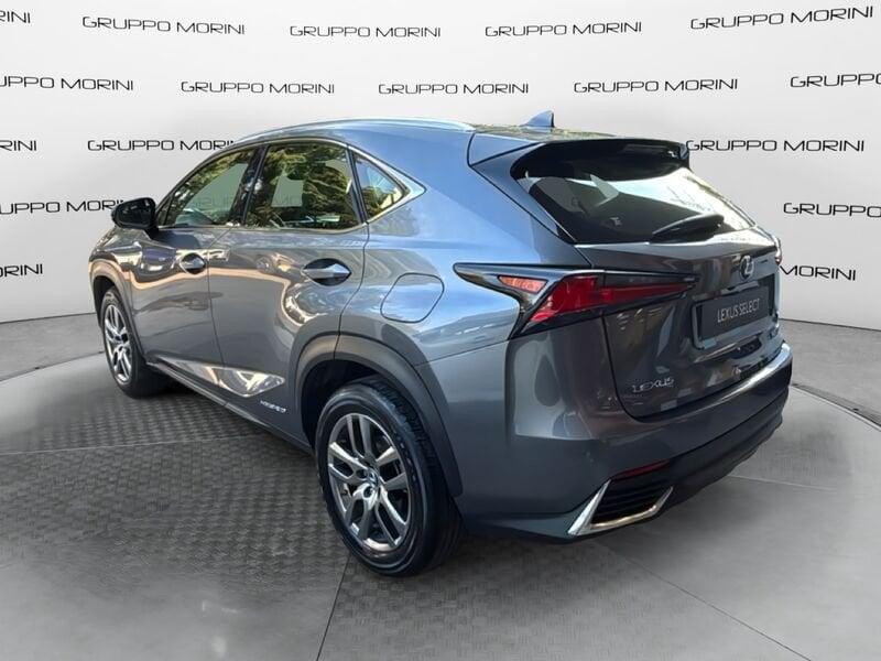 Lexus NX Hybrid Premium 4WD MY22
