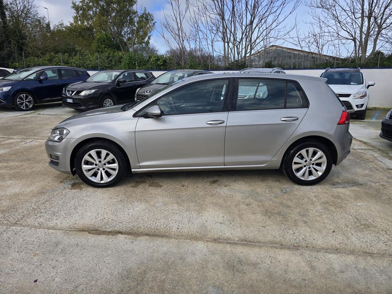 Volkswagen Golf 1.6 TDI 5p. Comfortline BlueMotion