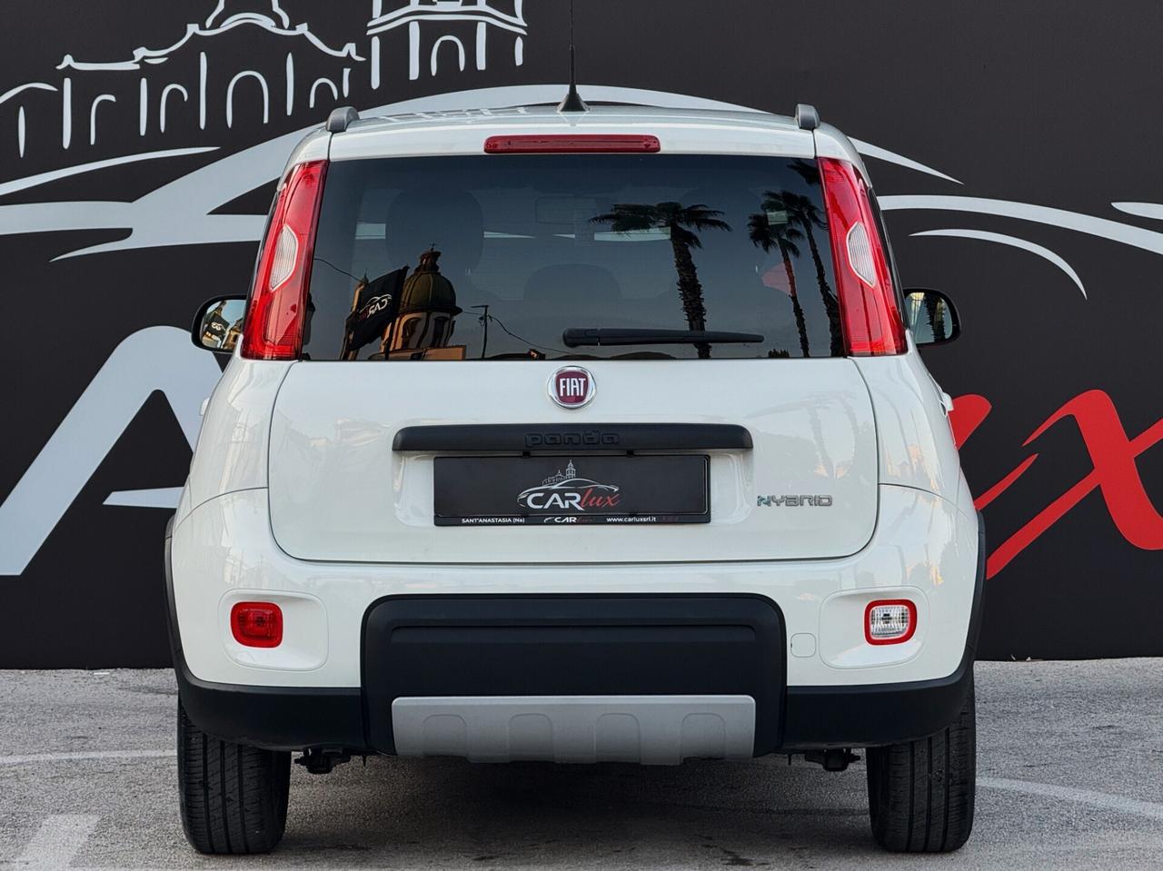 Fiat Panda 1.0 Firefly Hybrid S 69CV S&S | IVA ESP