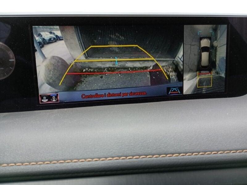 Lexus UX Hybrid Luxury 2WD