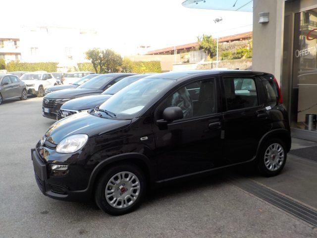 FIAT Panda MY25 - 1.0 FireFly Hybrid ICON