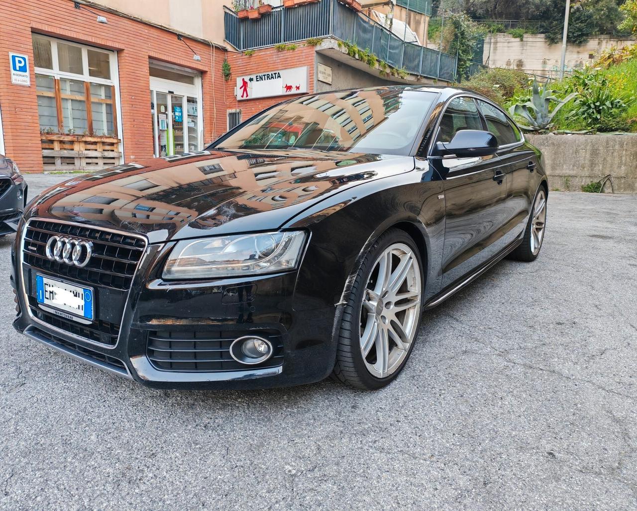 Audi A5 SPB 3.0 V6 TDI F.AP. quattro modello eseline