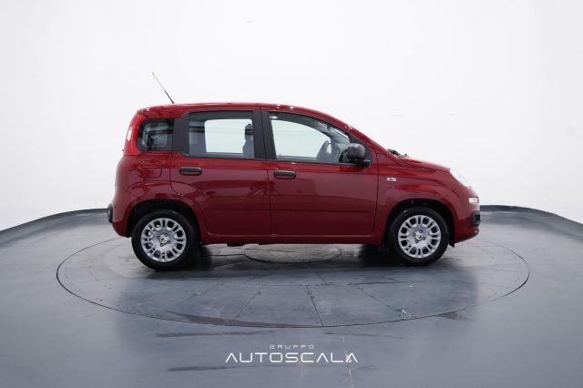 FIAT New Panda My25 1.0 FireFly S&S Hybrid
