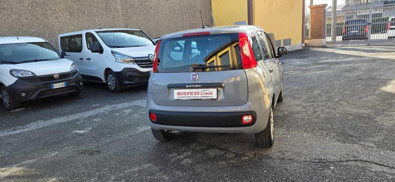 Fiat Panda 1.2 69 CV EASY- 4 POSTI - AUTO PER NEOPATENTATI! KM. 33.000-UNICO PROPRIETARIO!