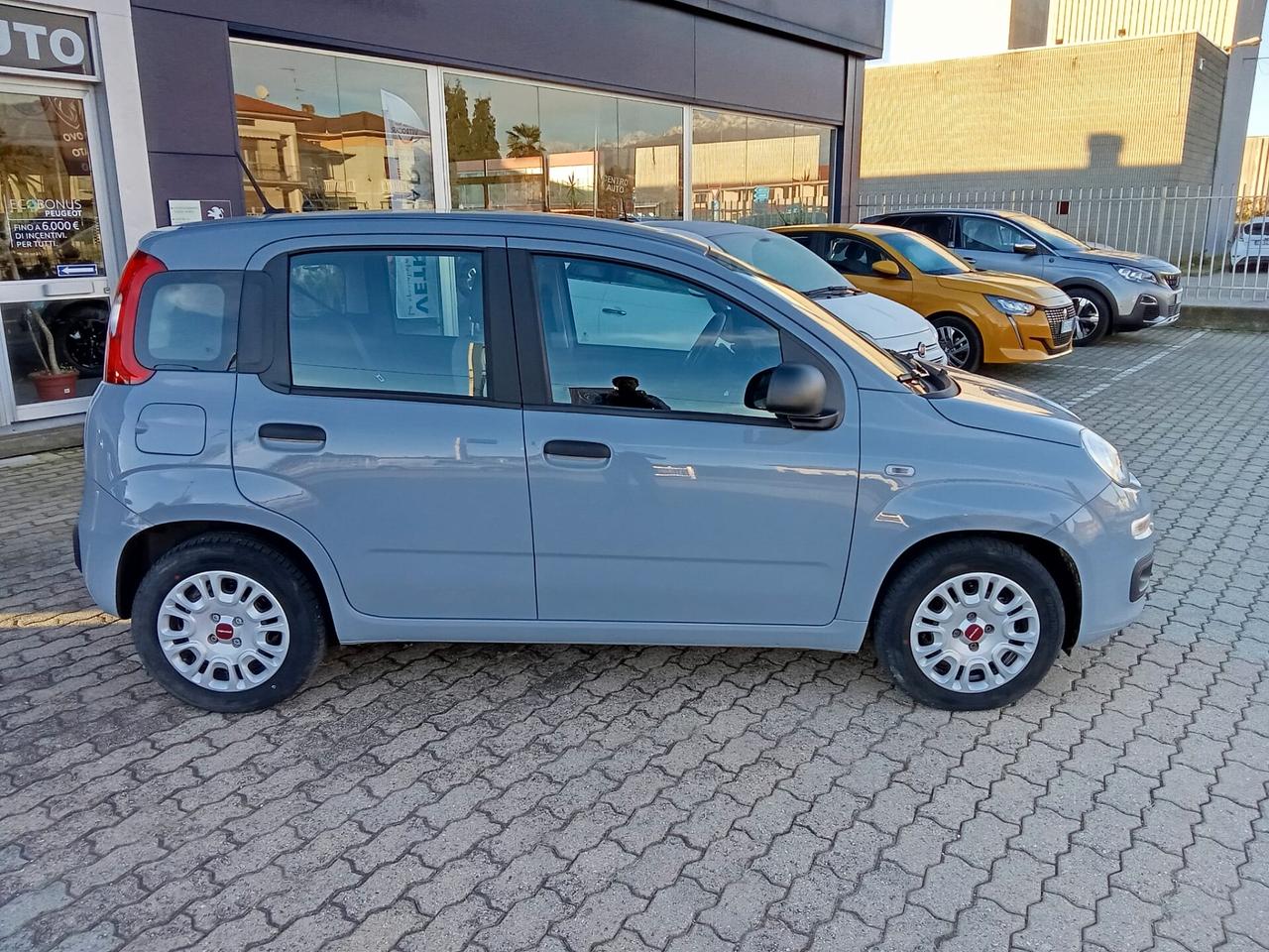 Fiat Panda 1.0 FireFly S&S Hybrid 70cv