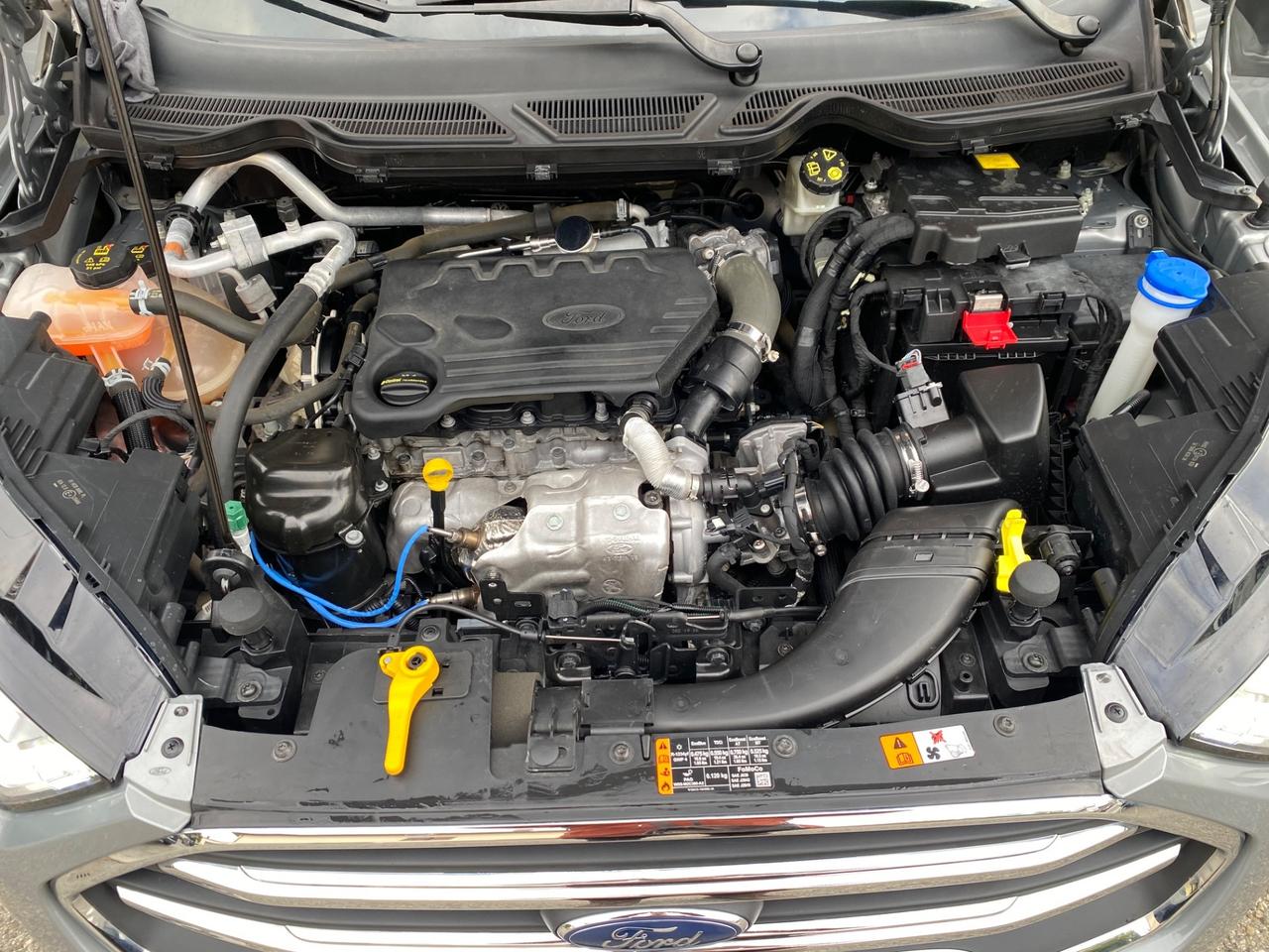 Ford EcoSport 1.5 Ecoblue 95 CV Start&Stop Titanium NEOPATENTATI!!!