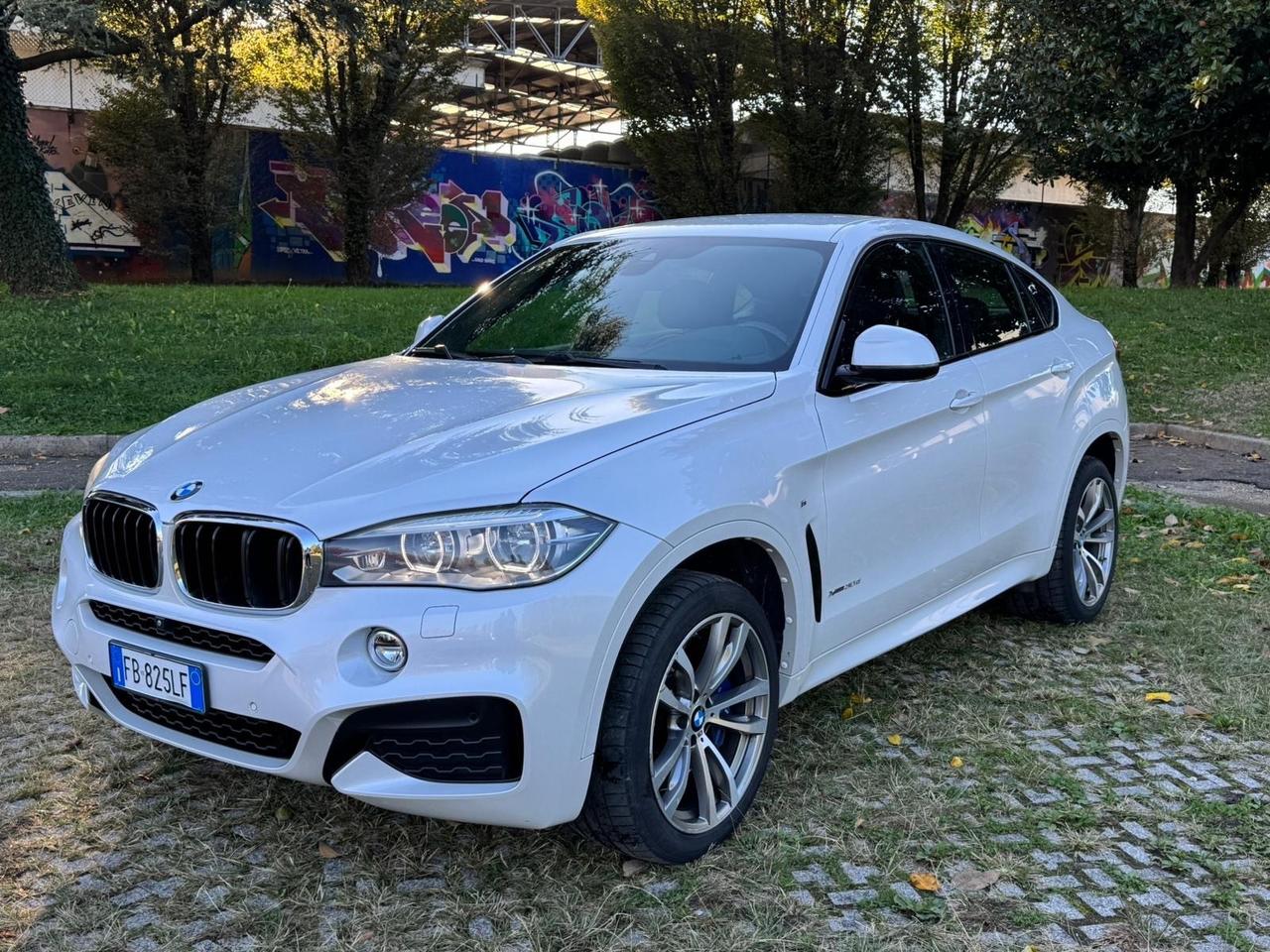Bmw X6 xDrive30d 258CV Msport