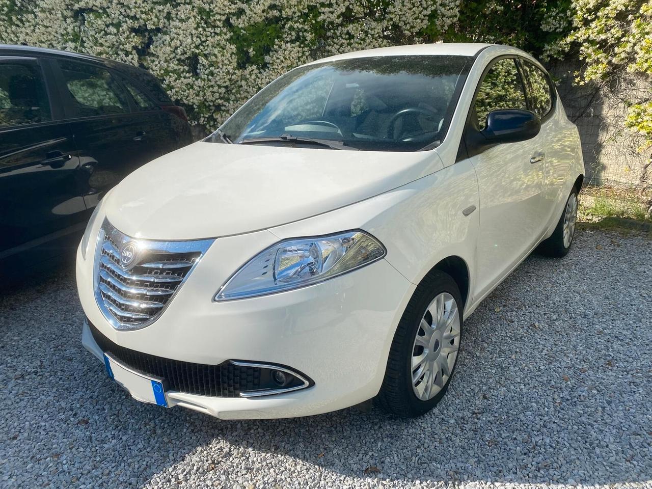 Lancia Ypsilon 1.3 MJT 16V 95 CV 5 porte S&S Gold