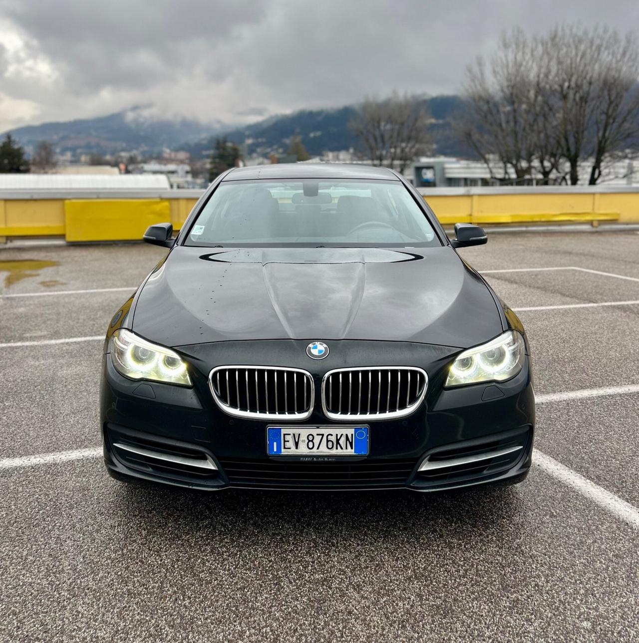 Bmw 520d Luxury 2014 Euro 6B IVA DEDUCIBILE