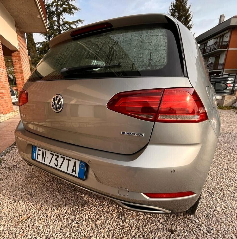 Volkswagen Golf 1.4 TGI DSG 5p. Executive BlueMotion