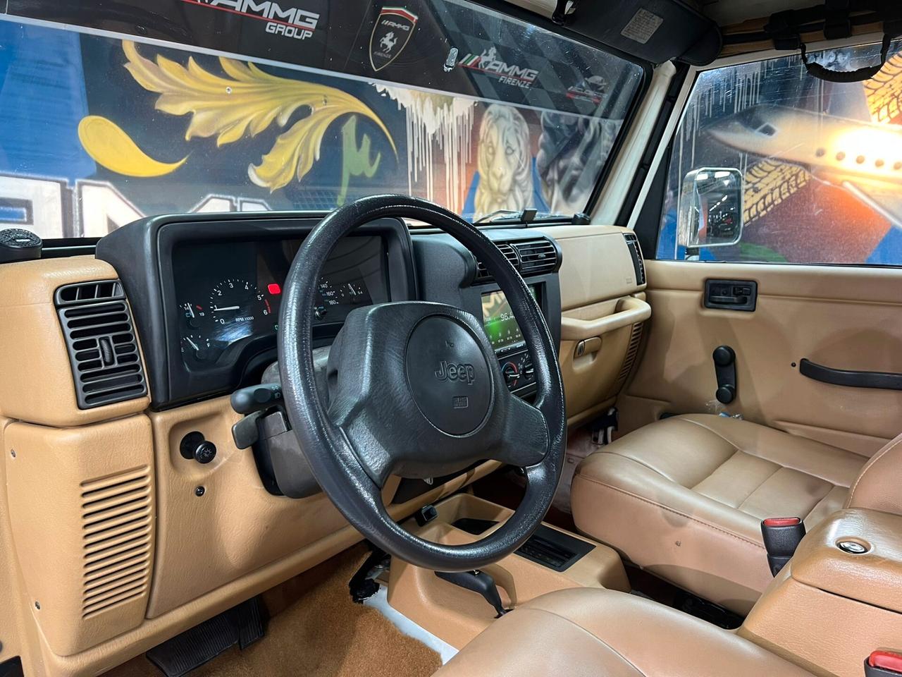 Jeep Wrangler TJ Hard Top 4.0 (441)