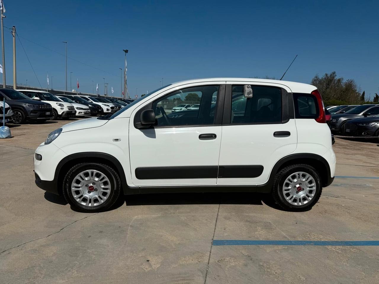 FIAT PANDA 1.0 BENZINA / HYBRID 69 CV