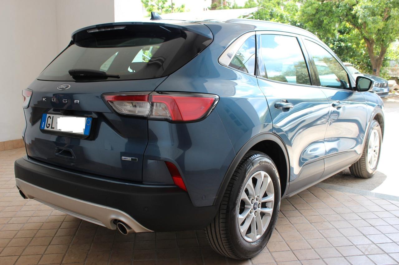 Ford Kuga 2.0 EcoBlue Hybrid 150 CV 2WD Titanium Business