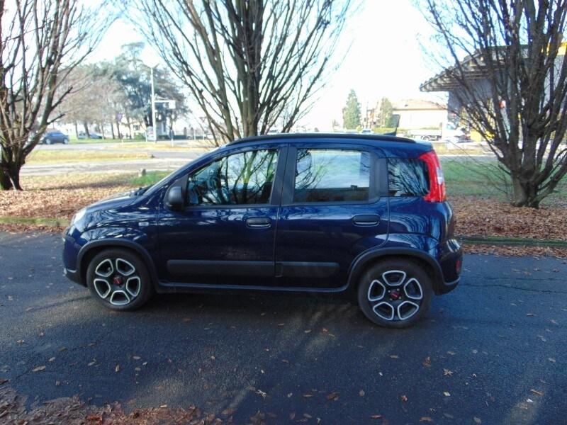 FIAT Panda 3ª serie Panda 1.0 FireFly S&S Hybr...