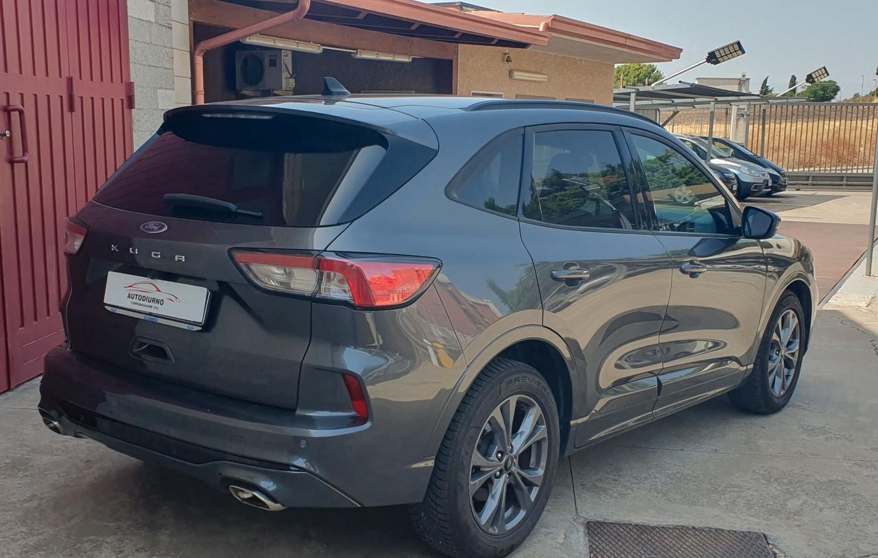 Ford Kuga 1.5 EcoBlue 120 CV aut. 2WD ST-Line