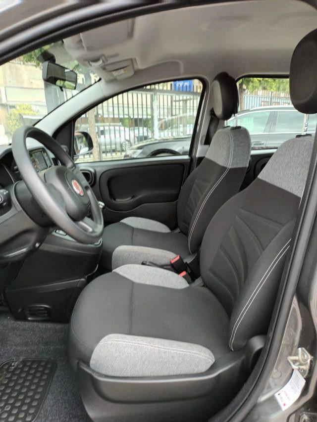 FIAT New Panda 1000 HYBRID CITY LIFE 70CV GRIGIO MAESTRO ITALIA