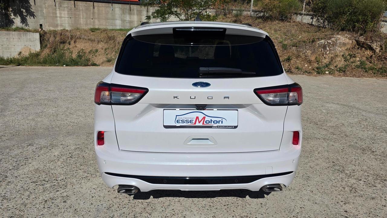 Ford Kuga 1.5 EcoBlue 120 CV aut. 2WD ST-Line X