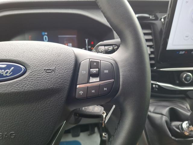 FORD Transit 310 2.0TDCi EcoBlue 130CV PM-TM Furgone Trend