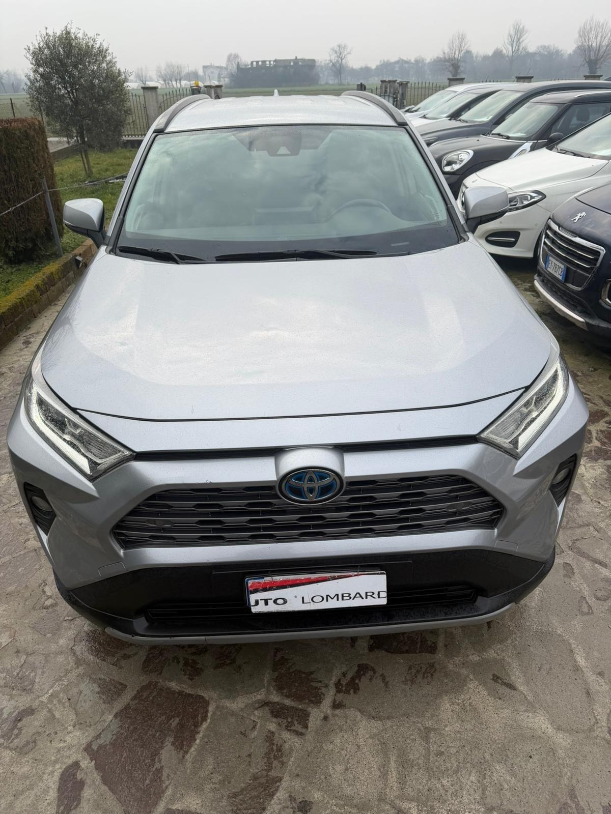 Toyota RAV 4 2.5 HV HYBRID. AWD-i 4x4