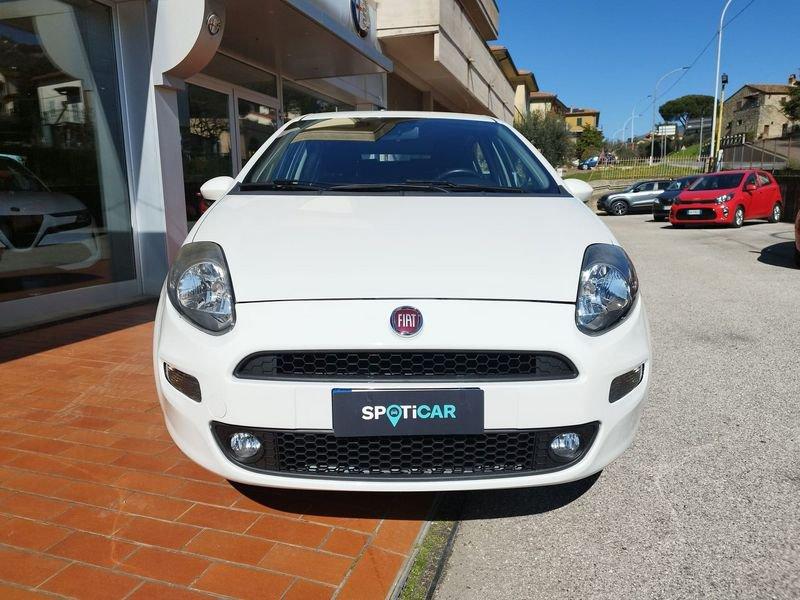FIAT Punto Punto 1.4 8V 5 porte Natural Power Lounge