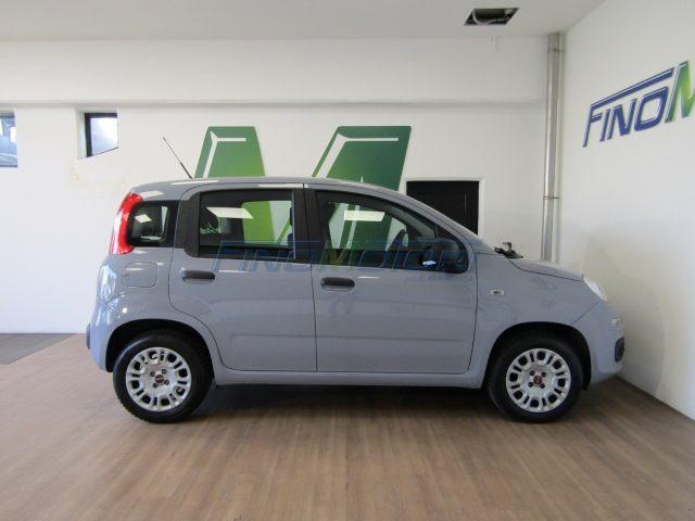 FIAT Panda 1.2 69 CV - 5 POSTI