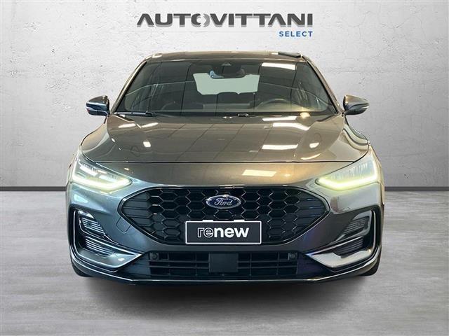 FORD Focus 5 Porte 1.5 EcoBlue 120cv ST-Line Auto