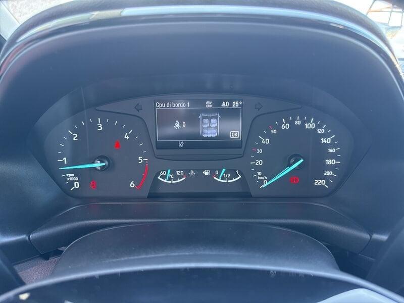 Ford Fiesta 1.5 EcoBlue 5 porte Plus