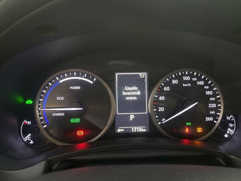 Lexus NX Hybrid 4WD Premium