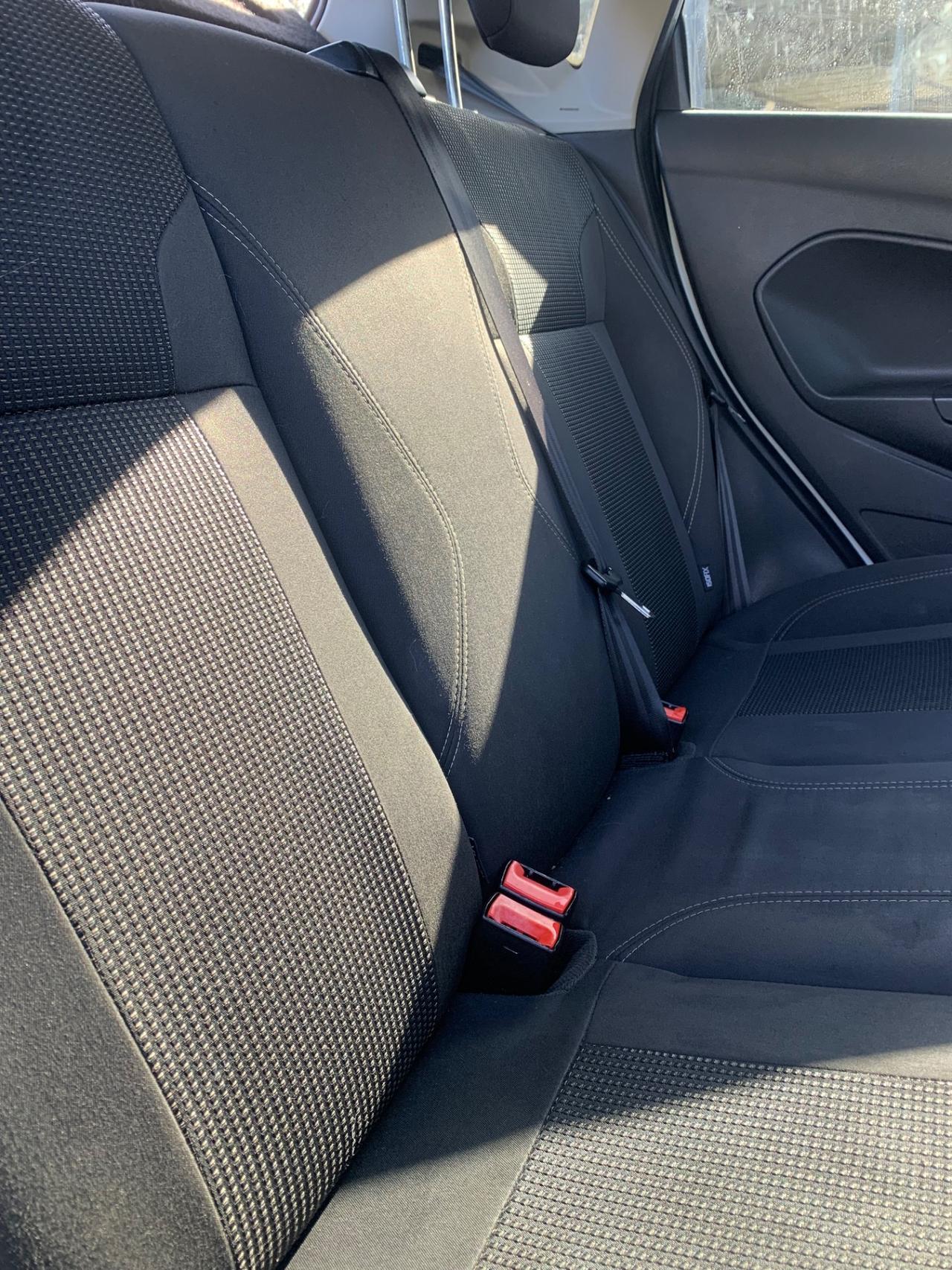 Ford Fiesta 1.5 TDCi 75CV 5 porte Black & White Edition