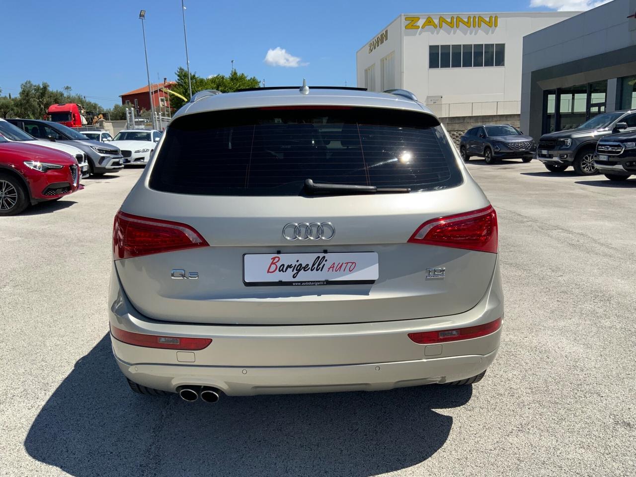 Audi Q5 2.0 TDI 170CV quattro Advanced Plus