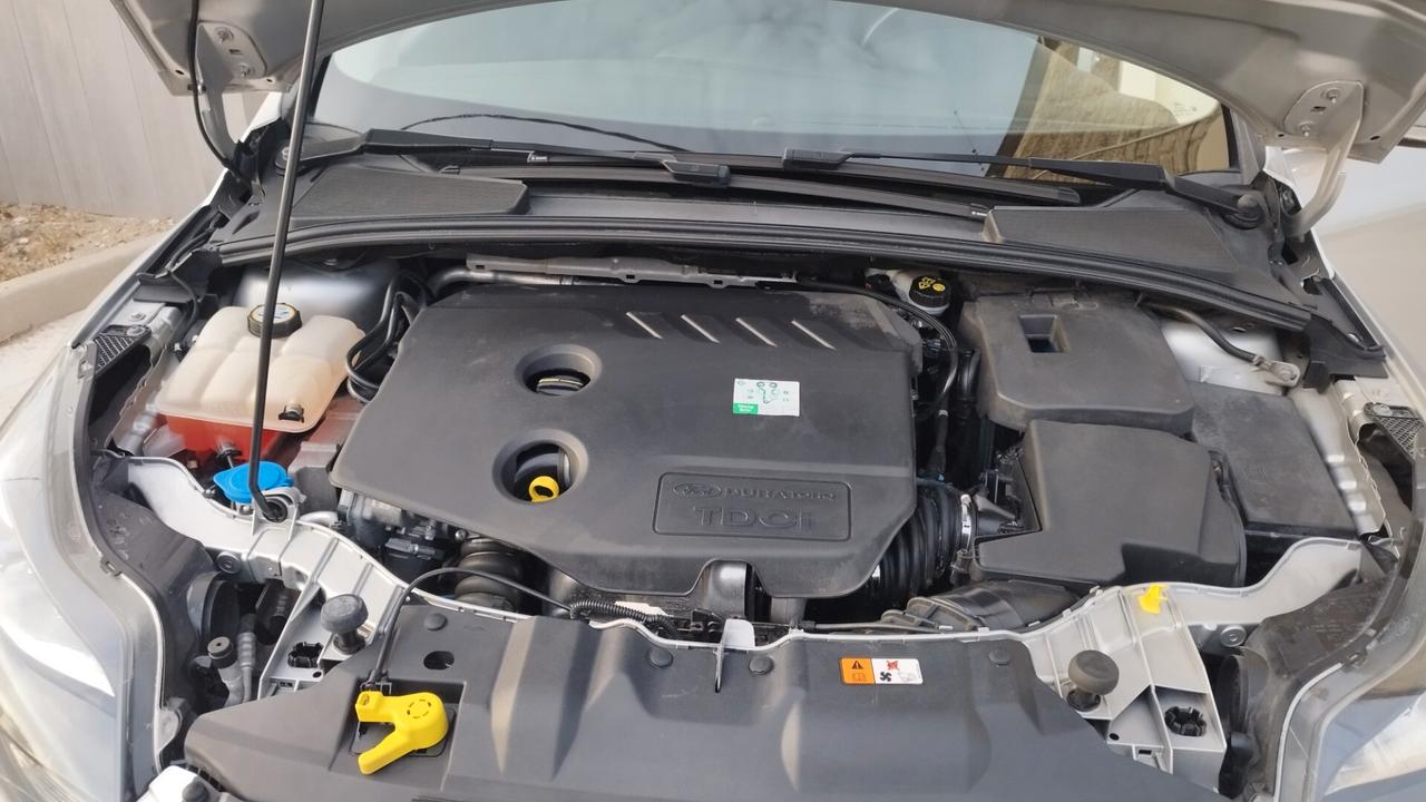 Ford Focus 1.6 TDCi 115 CV Titanium
