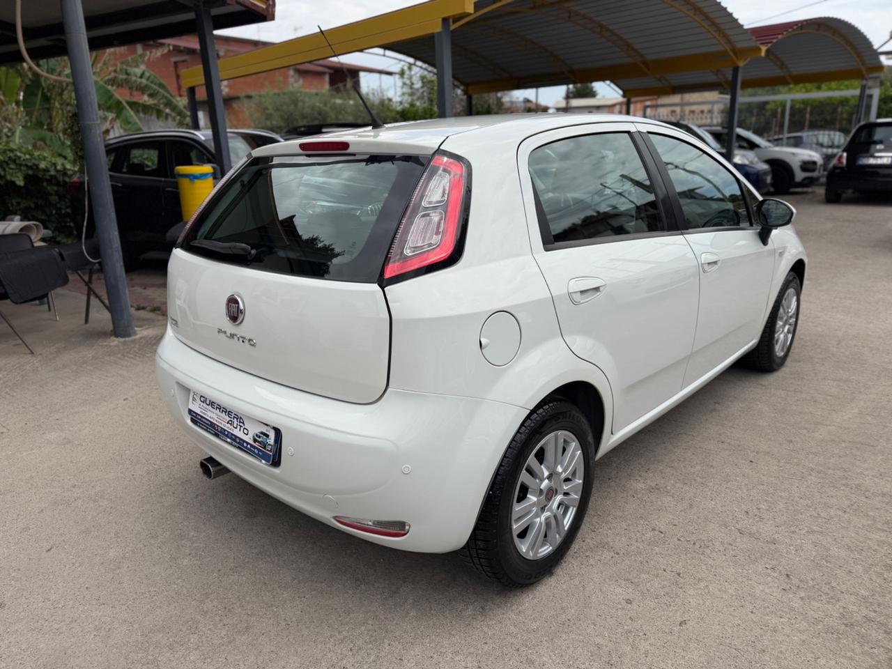 Fiat Punto 1.2 8V 5 porte Lounge Km Certificati