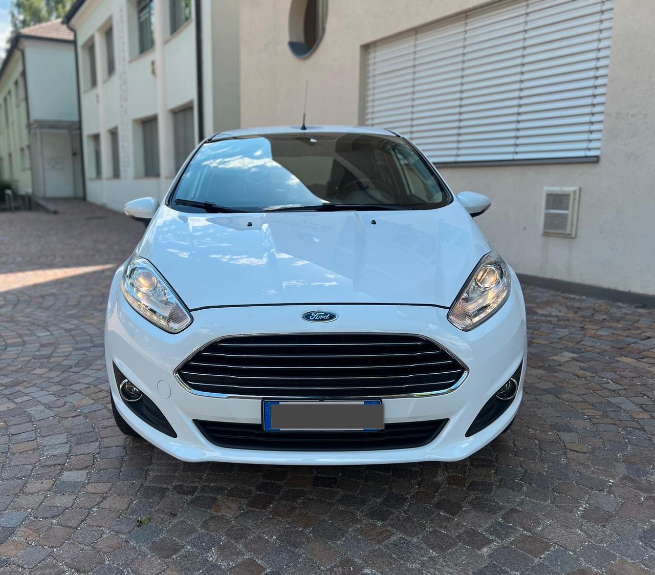 Ford Fiesta 1.2 82CV 5 porte Black & White Edition