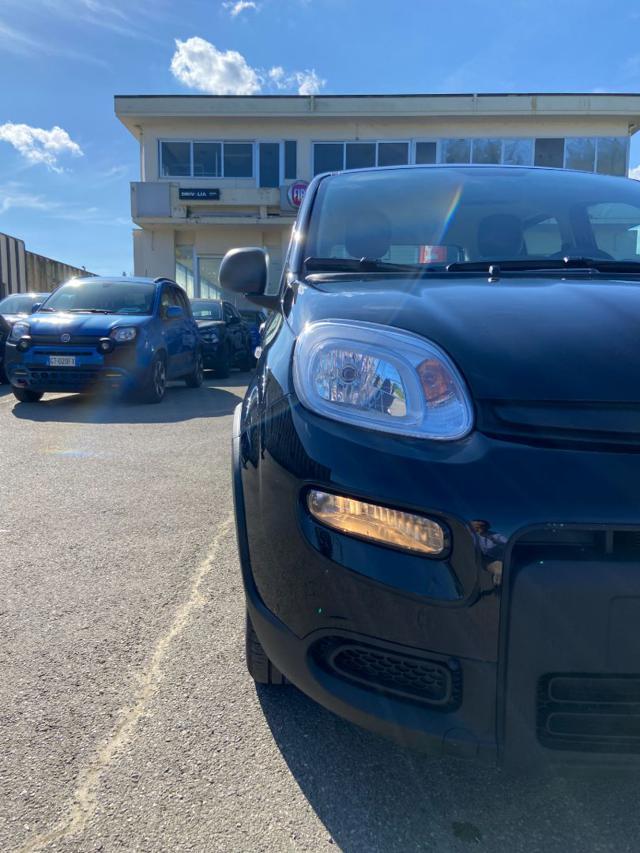 FIAT Panda *PROMO* 1.0 FireFly S&S Hybrid